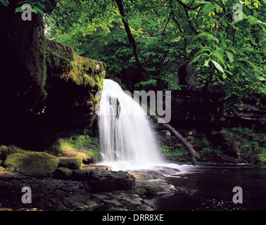 Calderone Falls, West Burton, North Yorkshire Foto Stock