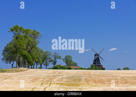 Mulino a vento tradizionale nel campo di grano, Krageholm, Skåne / Scania in Svezia e Scandinavia Foto Stock