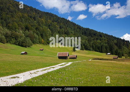 Capanne in legno / granai lungo il lago di Gerold / Geroldsee vicino a Mittenwald, Alta Baviera, Germania Foto Stock