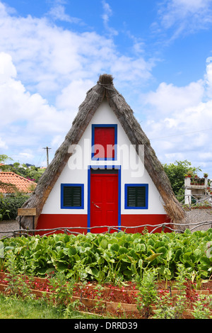 Casa con le piante su una parte anteriore Foto Stock