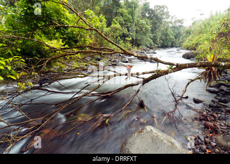 Rio Mindo, western Ecuador, il fiume che attraversa cloudforest a 1400m di altitudine. Foto Stock