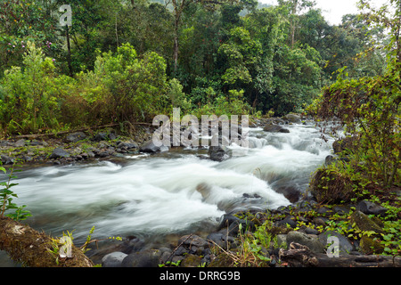 Rio Mindo, western Ecuador, il fiume che attraversa cloudforest a 1400m di altitudine. Foto Stock