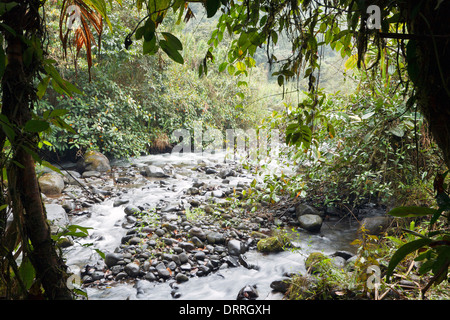 Rio Mindo, western Ecuador, il fiume che attraversa cloudforest a 1400m di altitudine. Foto Stock