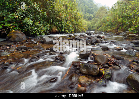 Rio Mindo, western Ecuador, il fiume che attraversa cloudforest a 1400m di altitudine. Foto Stock