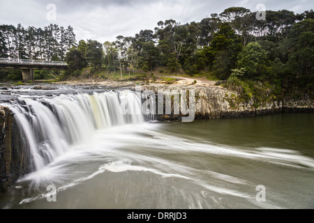 Haruru Falls sul Waitangi fiume nella baia delle isole, Northland e Nuova Zelanda. Foto Stock