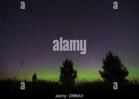 Un uomo guarda la Northern lights (Aurora boreale). L'Europa, Estonia Foto Stock