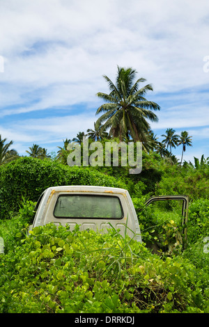 Un abbandonato arrugginimento auto preso in consegna dalla vegetazione tropicale. Rarotonga Isole Cook, South Pacific. Foto Stock