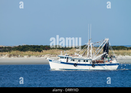 Barca da gamberetti di ritorno da una giornata di shrimping in Fernandina Beach, Florida. Foto Stock