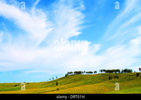 Campo verde e blu cielo Foto Stock