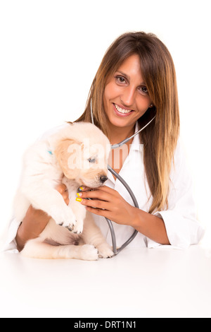 Un bel veterinario con un golden retriever cucciolo Foto Stock