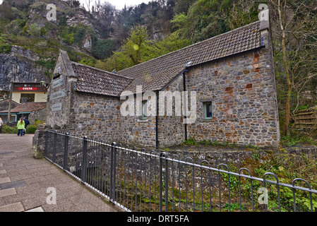 Cheddar Gorge è un Limestone Gorge in Mendip Hills, vicino al villaggio di Cheddar in Somerset Foto Stock