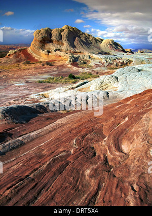 Una vista della tasca di bianco, Vermillion Cliffs National Monument, Arizona, Stati Uniti d'America Foto Stock
