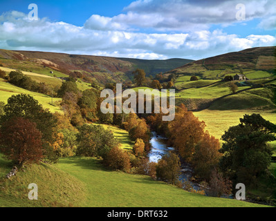 Un autunno vista Swaledale, North Yorkshire, Regno Unito Foto Stock