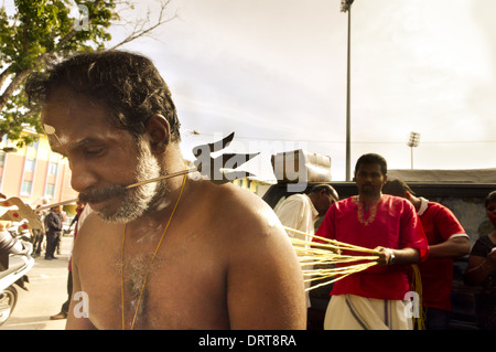 Torna la foratura con ganci, thaipusam Foto Stock