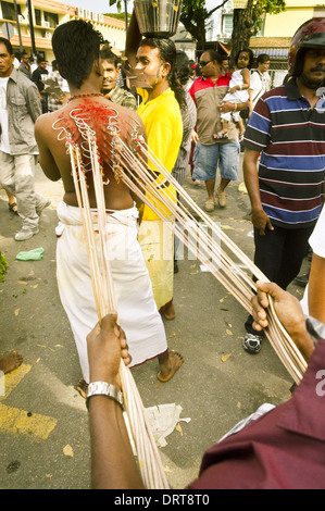 Torna la foratura con ganci, thaipusam Foto Stock