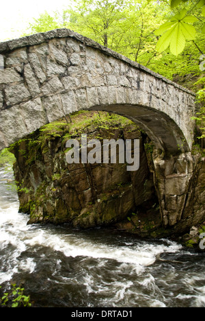 Montagne Harz, Germania Foto Stock