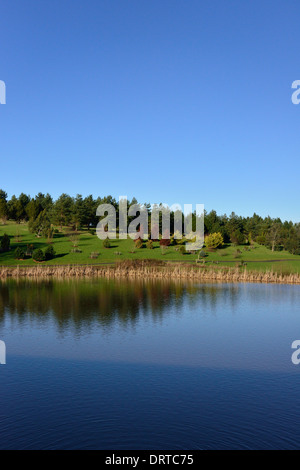 Bedgebury Pinetum nazionale e foresta, Goudhurst, Kent TN17 2SJ, Regno Unito Foto Stock