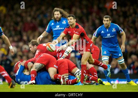 Cardiff, Galles. 01 feb 2014. Il Galles scrum-metà Mike Phillips (Racing M&#xe9;tro) durante Sei Nazioni di gioco tra Galles e Italia dal Millennium Stadium. Credito: Azione Sport Plus/Alamy Live News Foto Stock