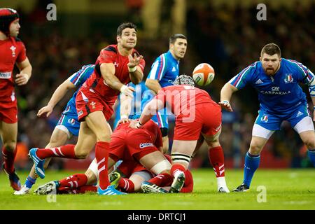 Cardiff, Galles. 01 feb 2014. Il Galles scrum-metà Mike Phillips (Racing M&#xe9;tro) durante Sei Nazioni di gioco tra Galles e Italia dal Millennium Stadium. Credito: Azione Sport Plus/Alamy Live News Foto Stock