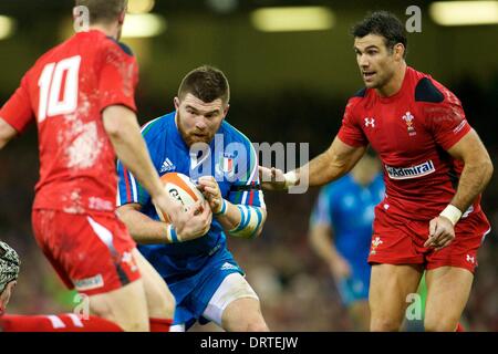 Cardiff, Galles. 01 feb 2014. Il Galles fly-half Rhys Priestland (Scarlets) e Galles scrum-metà Mike Phillips (Racing M&#xe9;tro) durante Sei Nazioni di gioco tra Galles e Italia dal Millennium Stadium. Credito: Azione Sport Plus/Alamy Live News Foto Stock