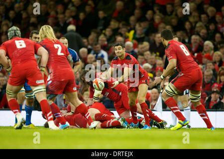 Cardiff, Galles. 01 feb 2014. Il Galles scrum-metà Mike Phillips (Racing M&#xe9;tro) durante Sei Nazioni di gioco tra Galles e Italia dal Millennium Stadium. Credito: Azione Sport Plus/Alamy Live News Foto Stock