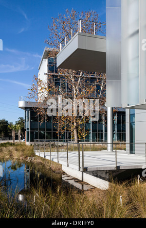 CTRB, clinici e di ricerca traslazionale edificio su University of Florida campus a Gainesville, FL è il LEED Platinum design. Foto Stock