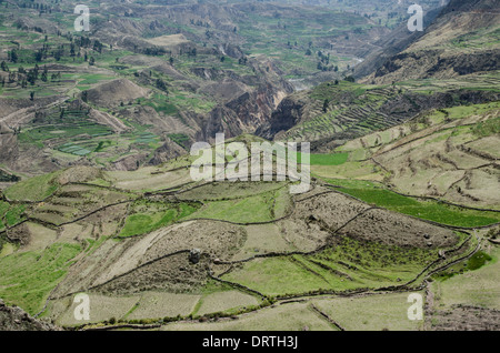 Valle di Colca. montagne andine. arequipa Perù. Foto Stock