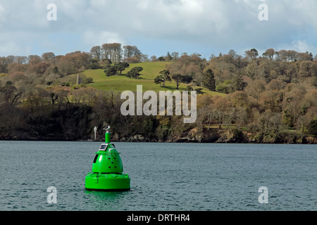 Mount Edgcumbe Country Park & follia, sulla penisola di rame, visto da Plymouth Sound, nel sud-est della Cornovaglia, Inghilterra, Gran Bretagna. Foto Stock