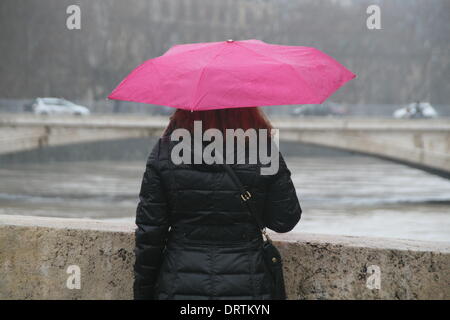 Roma, Italia. 1 Feb 2014 del Tevere a Roma raggiungendo livelli record dopo forti piogge Credito: Gari Wyn Williams/Alamy Live News Foto Stock