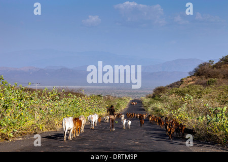 Bovini Herder dalla banna tribù sulla strada, Valle dell'Omo, Etiopia Foto Stock