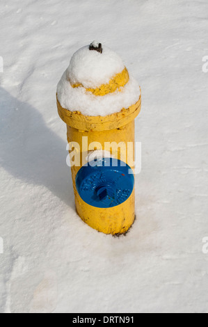 Un idrante di fuoco nella neve, Canada Foto Stock