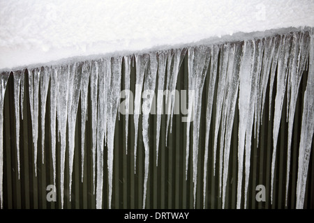 Inverno scene, Niseko, Giappone Foto Stock