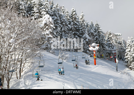 Inverno scene, Niseko, Giappone Foto Stock