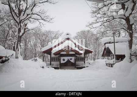 Inverno scene, Niseko, Giappone Foto Stock