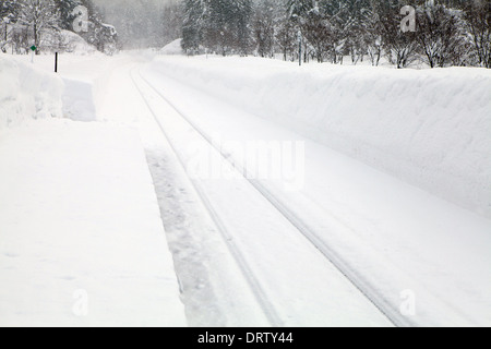 Inverno scene, Niseko, Giappone Foto Stock