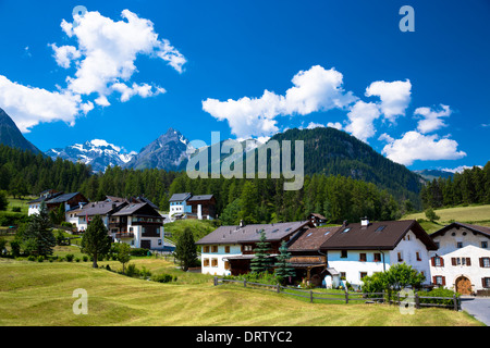 Fontana villaggio circondato dalla foresta di larici nella Bassa Engadina, alpi svizzere, Svizzera Foto Stock