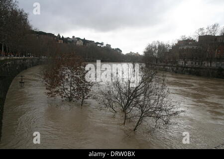 Roma, Italia. Il 1° febbraio 2014. Il Tevere a Roma raggiungendo livelli record dopo forti piogge Credito: Gari Wyn Williams/Alamy Live News Foto Stock