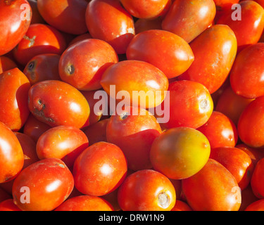 Rossi freschi maturi i pomodorini in un mercato degli agricoltori Foto Stock