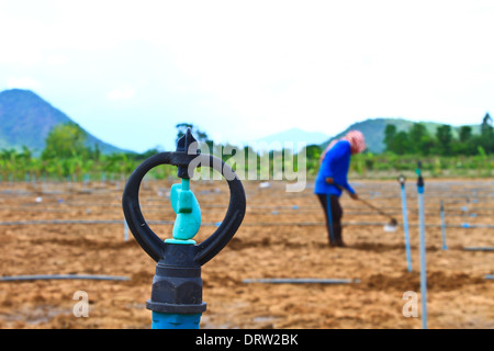 Pianta di mais e agricoltore lavora in una fattoria della Thailandia Foto Stock