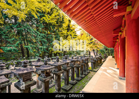 Nara, Giappone. Lanterne giapponesi in corrispondenza di Kasuga Taisha Sacrario. Foto Stock