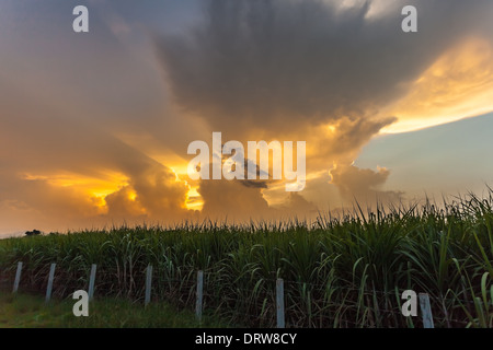 Un drammatico nuvole sopra il campo Foto Stock