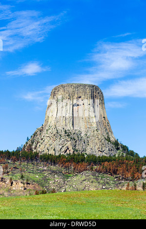 Devils Tower National Monument, Crook County, Black Hills, Wyoming USA Foto Stock