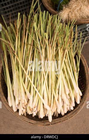 Gambi di citronella di Dong Ba Market Hue Vietnam Foto Stock