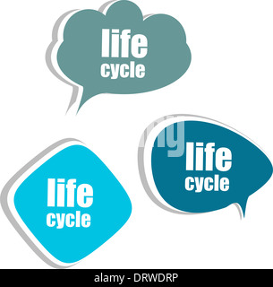 Ciclo di vita. Set di adesivi, etichette tag. Modello per infographics Foto Stock