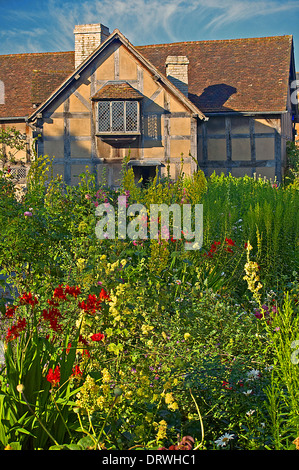 I giardini di William al luogo di nascita di Shakespeare a Stratford upon Avon sono vivi con fiori. Foto Stock