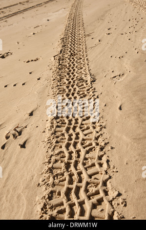 I cingoli del trattore sulla sabbia dorata che porta lungo la spiaggia Foto Stock