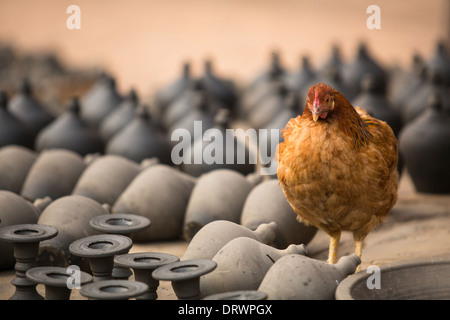 Pollo tra i prodotti di argilla nel villaggio di laboratorio di ceramica. Foto Stock