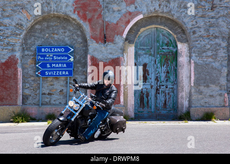 Motociclista a Harley Davidson Moto aziona il Passo dello Stelvio, il Passo dello Stelvio, dello Stelvio a Bormio, Italia settentrionale Foto Stock