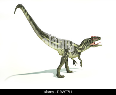 Allosaurus dinosauri fotorealistico e scientificamente corretta rappresentazione, dinamico postura. Su sfondo bianco. Foto Stock