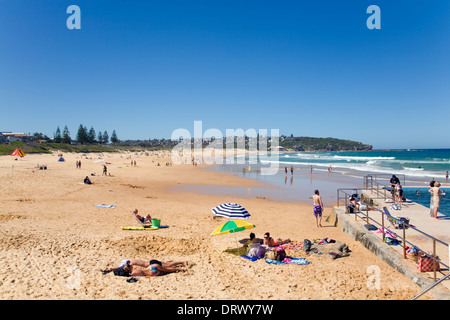 Guardando a nord lungo il sud Curl Curl beach, uno di Sydney la famosa Northern Beaches, Nuovo Galles del Sud, Australia Foto Stock